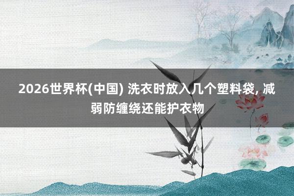 2026世界杯(中國) 洗衣時放入幾個塑料袋, 減弱防纏繞還能護衣物