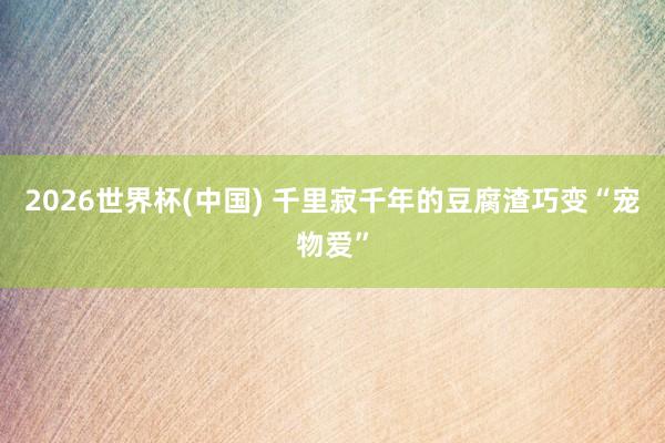 2026世界杯(中國) 千里寂千年的豆腐渣巧變“寵物愛”
