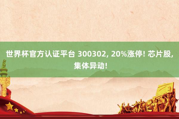 世界杯官方認證平臺 300302, 20%漲停! 芯片股, 集體異動!
