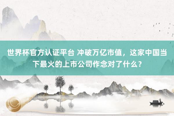 世界杯官方認證平臺 沖破萬億市值，這家中國當下最火的上市公司作念對了什么？