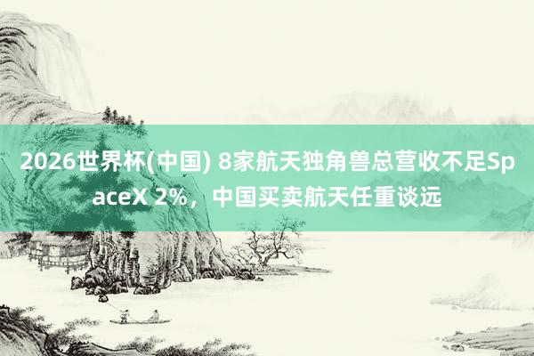 2026世界杯(中國) 8家航天獨角獸總營收不足SpaceX 2%，中國買賣航天任重談遠
