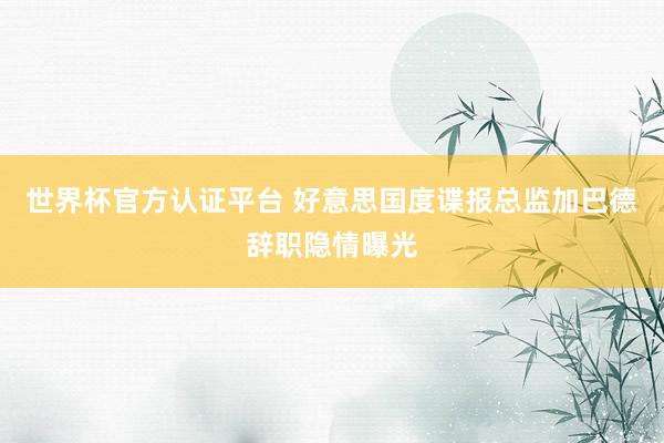 世界杯官方認證平臺 好意思國度諜報總監加巴德辭職隱情曝光