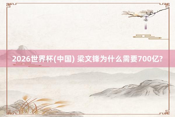 2026世界杯(中國(guó)) 梁文鋒為什么需要700億?