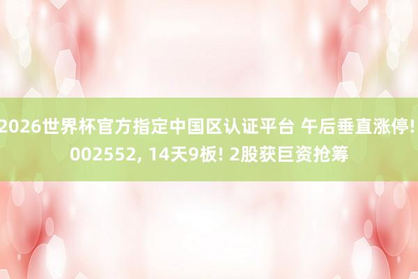 2026世界杯官方指定中國區認證平臺 午后垂直漲停! 002552, 14天9板! 2股獲巨資搶籌