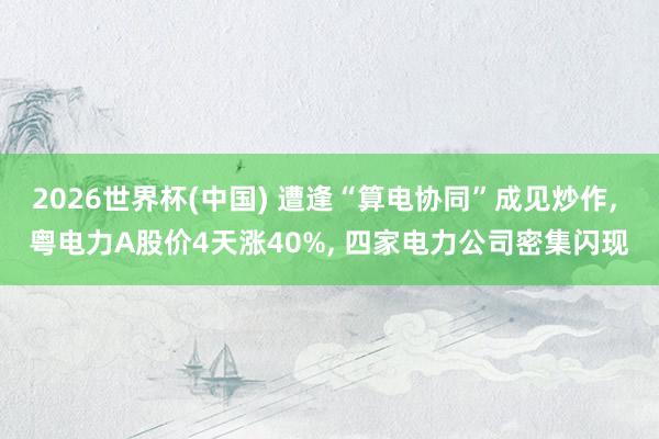 2026世界杯(中國) 遭逢“算電協同”成見炒作, 粵電力A股價4天漲40%, 四家電力公司密集閃現