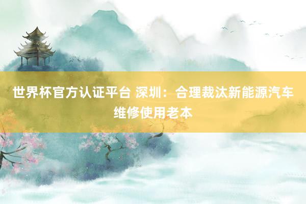 世界杯官方認(rèn)證平臺(tái) 深圳：合理裁汰新能源汽車(chē)維修使用老本
