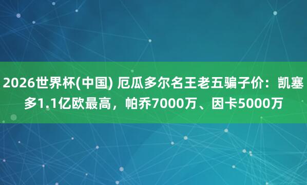 2026世界杯(中國) 厄瓜多爾名王老五騙子價(jià)：凱塞多1.1億歐最高，帕喬7000萬、因卡5000萬