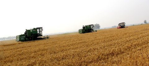 小麥收割機市場遭遇滑鐵盧 行業(yè)寒冬下的挑戰(zhàn)與反思