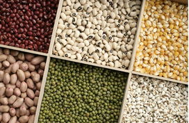 深耕谷物銷售 企業(yè)供求平臺助力產(chǎn)業(yè)鏈協(xié)同發(fā)展