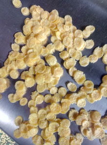 供應谷物膨化新利器 2mm-50mm圓球膨化機批發銷售全解析