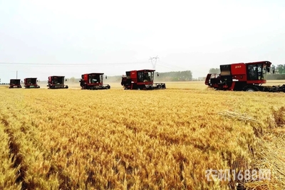 東方紅小麥收割機問鼎農業農村部質量調查榜首，引領谷物收獲新篇章