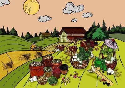 解決農產品交易大問題——標準化合約如何重塑谷物銷售格局